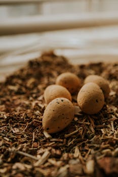 Netticasino PayPal: Käytännöt Ja Suositukset Suomesta