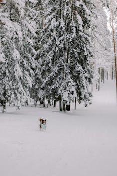 Lainaa Työttömälle Heti: Mahdollisuudet Ja Vaihtoehdot
