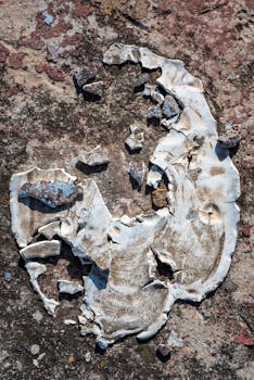 Starcode PokerStars - Opas Käyttää Ja Aktivoida Bonuskoodeja