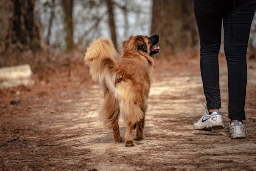 Visa Electron Ja Debit -korttien Ero Casino- Ja Maksutapahtumissa