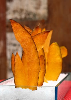 Vapaa-ajan Pelit: Ilmainen Pasianssi Netissä Ja Strategiat