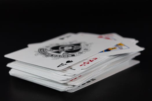 Casino-7772